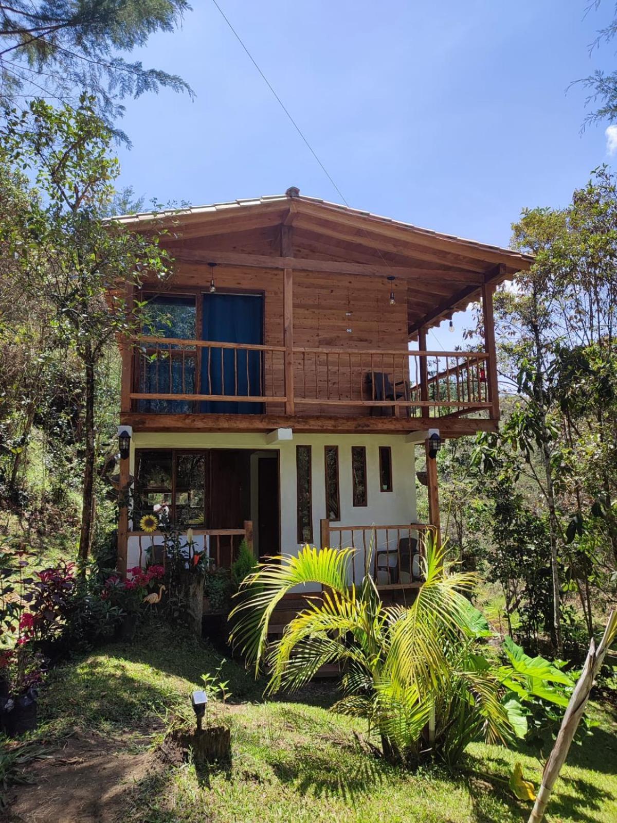 Apartment Paniym